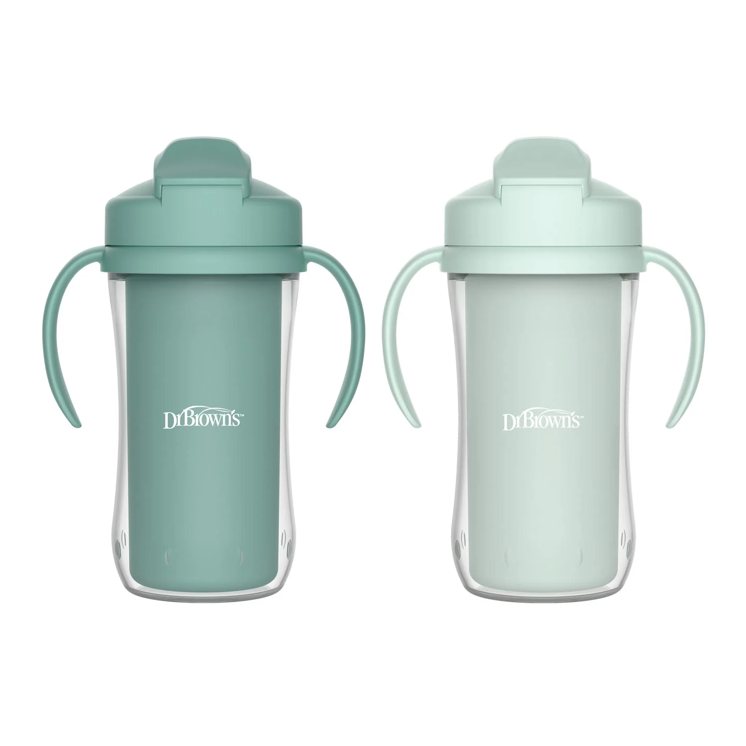 Insulated Cups